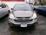 2010 TAN HONDA CR-V EX (5J6RE4H5XAL) with an 2.4L engine, Automatic transmission, located at 501 E. Columbia St., Springfield, OH, 45503, (800) 262-7122, 39.925262, -83.801796 - ***Local Trade***AWD***New Tires***Tune-Up***New Timing***New Front Brakes***New Battery***New Air Filter and Cabin Filter***New Wipers***EX***Detailed and Ready To Go*** Jay North Auto has offered hand picked vehicles since 1965! Our customer's enjoy a NO pressure buying experience with a sma - Photo#1
