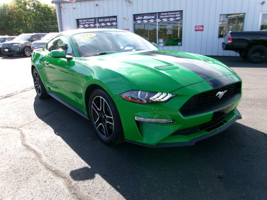 photo of 2019 FORD MUSTANG 