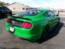 2019 GREEN FORD MUSTANG (1FA6P8TH3K5) with an 2.3L engine, 6-Speed Manual transmission, located at 501 E. Columbia St., Springfield, OH, 45503, (800) 262-7122, 39.925262, -83.801796 - ***Clean Carfax***2.3L EcoBoost***6-Speed***Independent Rear Suspention***New Front and Rear Brake Pads and Rotors***New Tires***New Air Filter and Cabin Ait Filter***Serviced and Ready To Go*** Jay North Auto has offered hand picked vehicles since 1965! Our customer's enjoy a NO pressure buyin - Photo#3