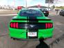 2019 GREEN FORD MUSTANG (1FA6P8TH3K5) with an 2.3L engine, 6-Speed Manual transmission, located at 501 E. Columbia St., Springfield, OH, 45503, (800) 262-7122, 39.925262, -83.801796 - ***Clean Carfax***2.3L EcoBoost***6-Speed***Independent Rear Suspention***New Front and Rear Brake Pads and Rotors***New Tires***New Air Filter and Cabin Ait Filter***Serviced and Ready To Go*** Jay North Auto has offered hand picked vehicles since 1965! Our customer's enjoy a NO pressure buyin - Photo#4