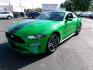 2019 GREEN FORD MUSTANG (1FA6P8TH3K5) with an 2.3L engine, 6-Speed Manual transmission, located at 501 E. Columbia St., Springfield, OH, 45503, (800) 262-7122, 39.925262, -83.801796 - ***Clean Carfax***2.3L EcoBoost***6-Speed***Independent Rear Suspention***New Front and Rear Brake Pads and Rotors***New Tires***New Air Filter and Cabin Ait Filter***Serviced and Ready To Go*** Jay North Auto has offered hand picked vehicles since 1965! Our customer's enjoy a NO pressure buyin - Photo#6