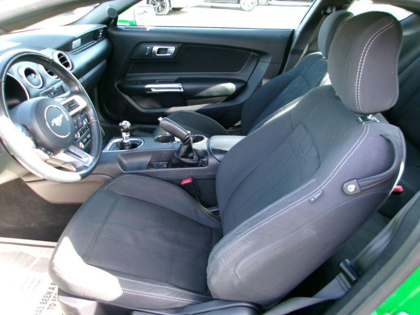 2019 GREEN FORD MUSTANG (1FA6P8TH3K5) with an 2.3L engine, 6-Speed Manual transmission, located at 501 E. Columbia St., Springfield, OH, 45503, (800) 262-7122, 39.925262, -83.801796 - ***Clean Carfax***2.3L EcoBoost***6-Speed***Independent Rear Suspention***New Front and Rear Brake Pads and Rotors***New Tires***New Air Filter and Cabin Ait Filter***Serviced and Ready To Go*** Jay North Auto has offered hand picked vehicles since 1965! Our customer's enjoy a NO pressure buyin - Photo#8