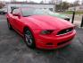 2014 RED FORD MUSTANG PREMIUM (1ZVBP8EM5E5) with an 3.7L engine, Automatic transmission, located at 501 E. Columbia St., Springfield, OH, 45503, (800) 262-7122, 39.925262, -83.801796 - Jay North Auto has offered hand picked vehicles since 1965! Our customer's enjoy a NO pressure buying experience with a small town feel. We are a preferred dealer for many local credit unions and lenders. Bad credit? No Credit/First time buyer? Open or closed BANKRUPTCY 7 or 13? We Can Help Apply - Photo#0