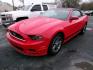 2014 RED FORD MUSTANG PREMIUM (1ZVBP8EM5E5) with an 3.7L engine, Automatic transmission, located at 501 E. Columbia St., Springfield, OH, 45503, (800) 262-7122, 39.925262, -83.801796 - Jay North Auto has offered hand picked vehicles since 1965! Our customer's enjoy a NO pressure buying experience with a small town feel. We are a preferred dealer for many local credit unions and lenders. Bad credit? No Credit/First time buyer? Open or closed BANKRUPTCY 7 or 13? We Can Help Apply - Photo#5