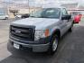 2013 SILVER FORD F150 XL REGULAR CAB (1FTMF1CM0DK) with an 3.7L engine, Automatic transmission, located at 501 E. Columbia St., Springfield, OH, 45503, (800) 262-7122, 39.925262, -83.801796 - ***Price Includes Documentation Fee!***LOW MILES***Only 37k Miles***XL***Tommy Gate***3.7L V6***New Rear Shocks***New Rear Brakes***New Air Filter***New Wipers***Fresh Oil Change*** Jay North Auto has offered hand picked vehicles since 1965! Our customer's enjoy a NO pressure buying experience - Photo#5