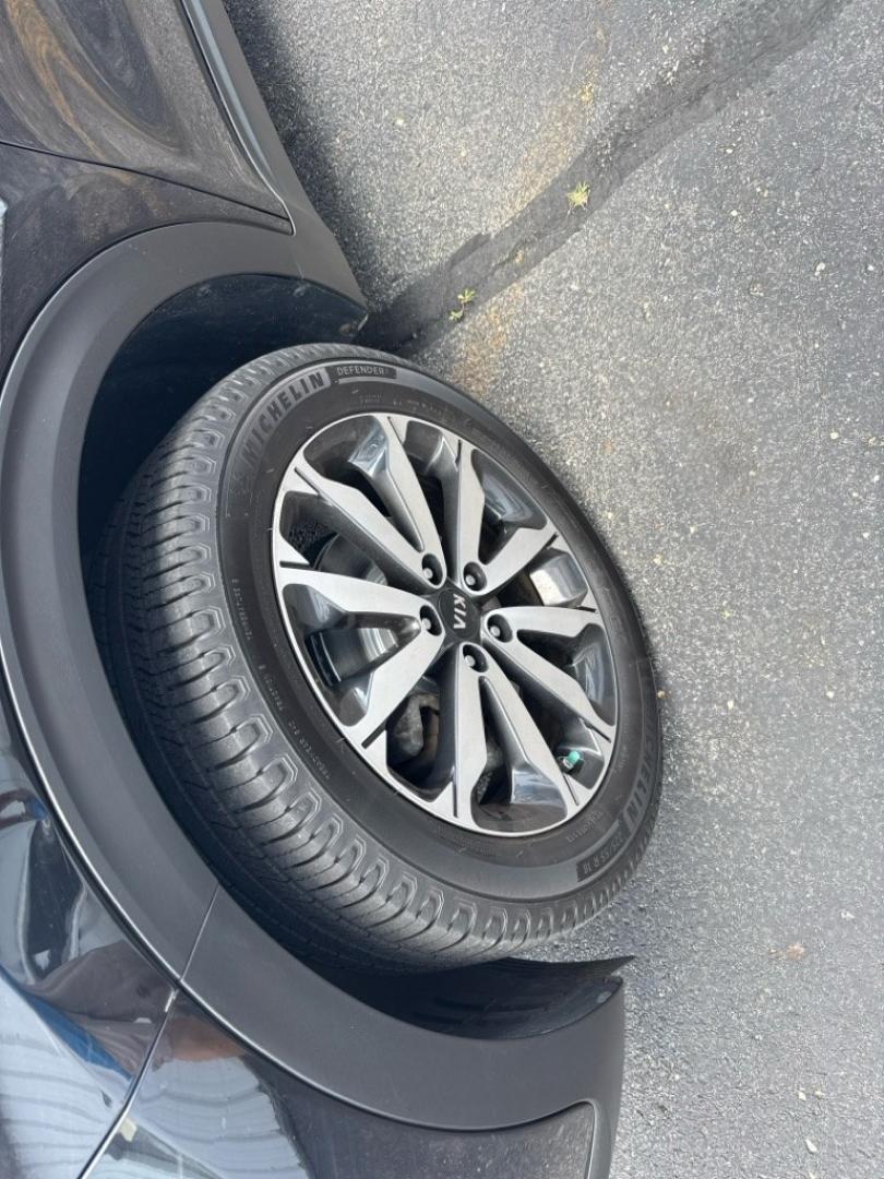 2017 BLACK KIA SPORTAGE EX PREMIUM (KNDPNCAC3H7) with an 2.4L engine, Automatic transmission, located at 501 E. Columbia St., Springfield, OH, 45503, (800) 262-7122, 39.925262, -83.801796 - *** 1-Owner w/ Clean CarFax *** Tune Up *** New Brakes *** New wheel hub and axle *** New Cabin and Air filter *** Oil Change *** EX Premium Package Panoramic Sunroof- Pwr Folding Mirrors w/ LED Turn Signals- Blind Spot Detection (BSD)- Lane Change Assist (LCA)- Rear Cross Traffic Alert (RCTA)- Hea- Photo#17